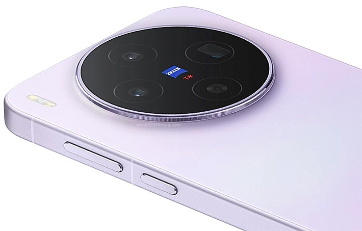 vivo X300s